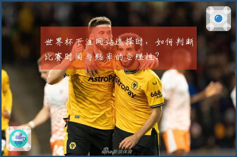 世界杯下注网站选择时，如何判断比赛时间与赔率的合理性？