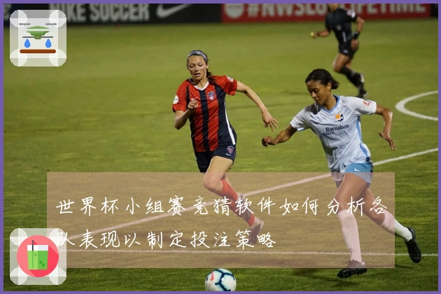 世界杯小组赛竞猜软件如何分析各队表现以制定投注策略