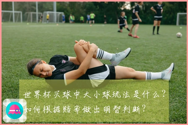 世界杯买球中大小球玩法是什么？如何根据赔率做出明智判断？