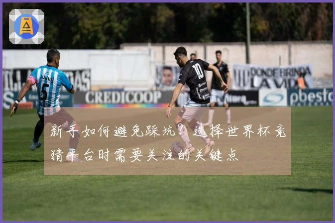 新手如何避免踩坑？选择世界杯竞猜平台时需要关注的关键点
