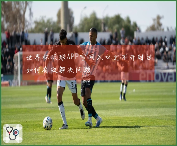 世界杯买球APP官网入口打不开时该如何有效解决问题