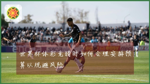 世界杯体彩竞猜时如何合理安排预算以规避风险