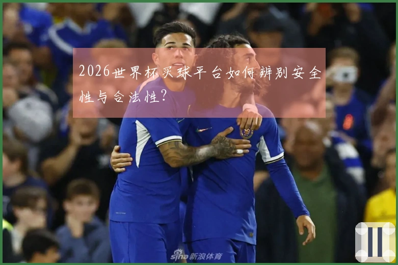 2026世界杯买球平台如何辨别安全性与合法性？