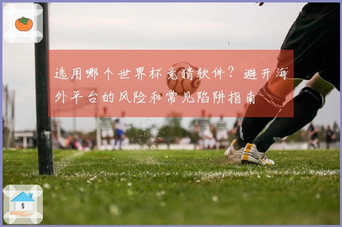 选用哪个世界杯竞猜软件？避开海外平台的风险和常见陷阱指南