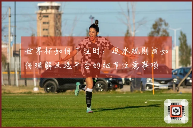 世界杯如何下注时，返水规则该如何理解及选平台的细节注意事项