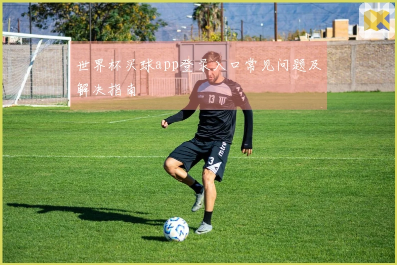 世界杯买球app登录入口常见问题及解决指南
