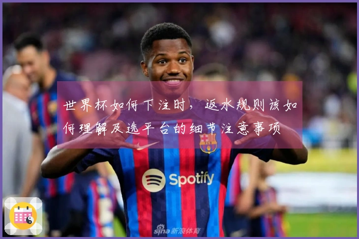 世界杯如何下注时，返水规则该如何理解及选平台的细节注意事项