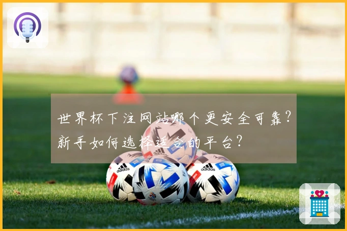 世界杯下注网站哪个更安全可靠？新手如何选择适合的平台？