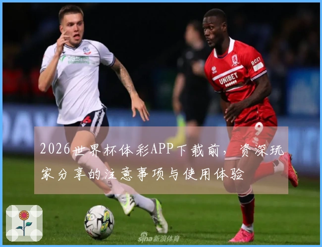 2026世界杯体彩APP下载前，资深玩家分享的注意事项与使用体验