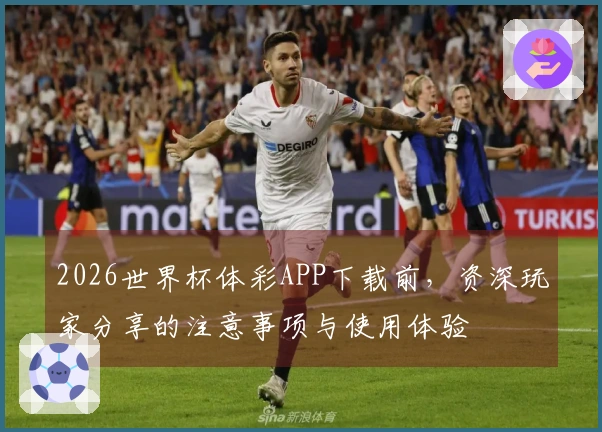 2026世界杯体彩APP下载前，资深玩家分享的注意事项与使用体验