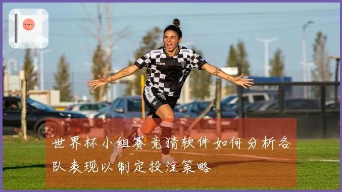 世界杯小组赛竞猜软件如何分析各队表现以制定投注策略