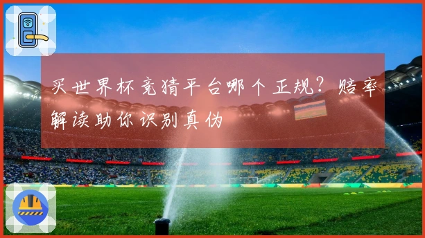 买世界杯竞猜平台哪个正规？赔率解读助你识别真伪