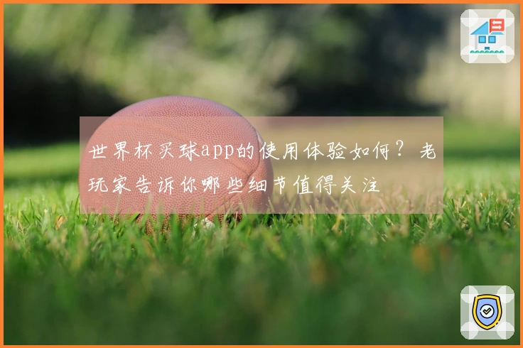 世界杯买球app的使用体验如何？老玩家告诉你哪些细节值得关注