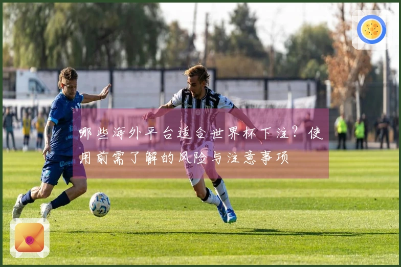 哪些海外平台适合世界杯下注？使用前需了解的风险与注意事项