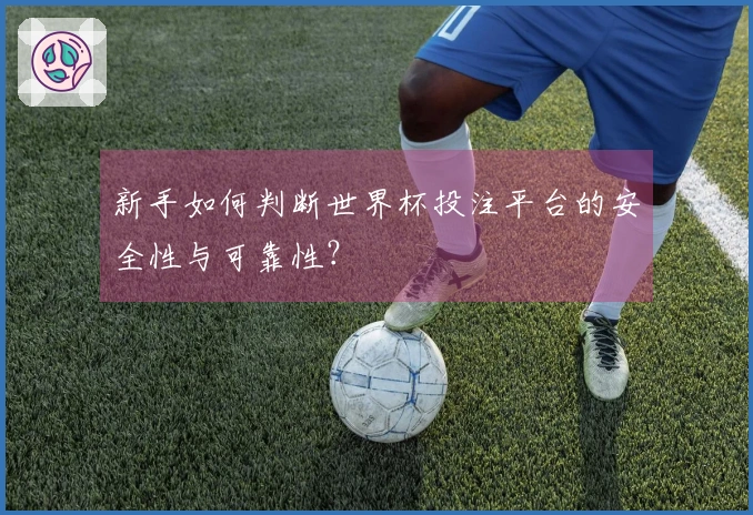 新手如何判断世界杯投注平台的安全性与可靠性？