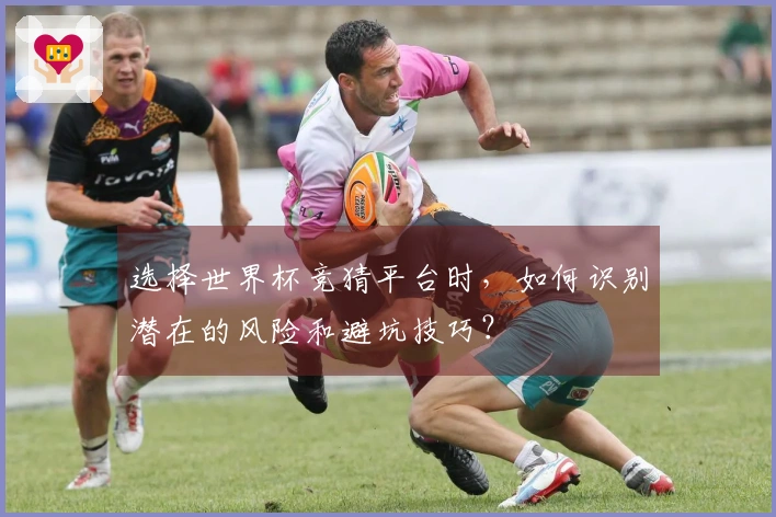 选择世界杯竞猜平台时，如何识别潜在的风险和避坑技巧？