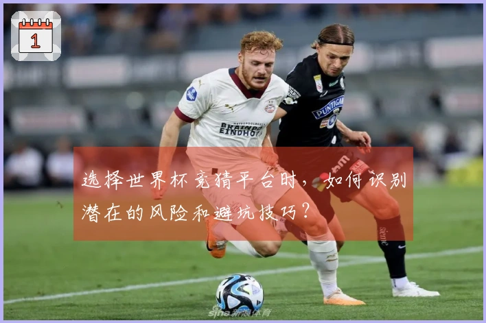 选择世界杯竞猜平台时，如何识别潜在的风险和避坑技巧？
