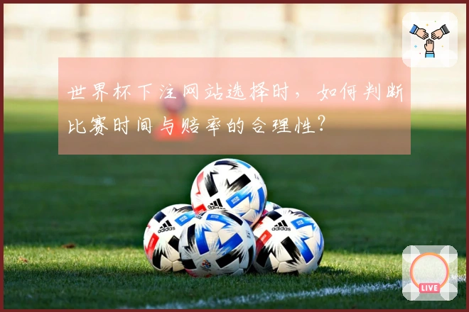 世界杯下注网站选择时，如何判断比赛时间与赔率的合理性？