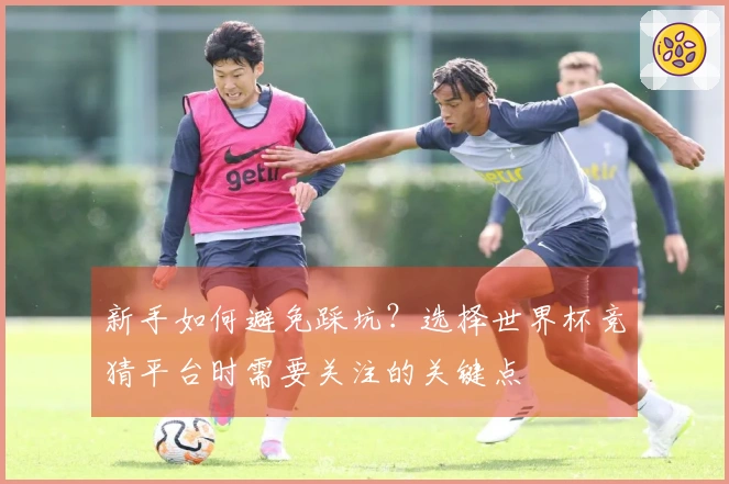 新手如何避免踩坑？选择世界杯竞猜平台时需要关注的关键点