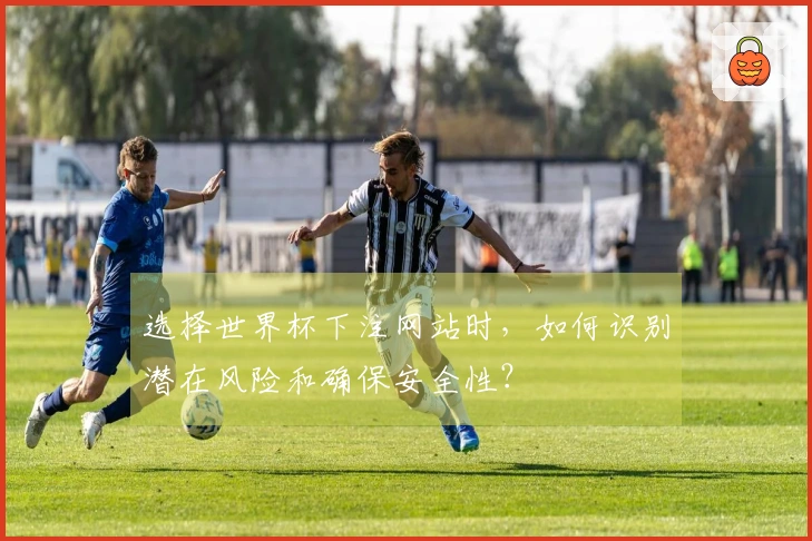 选择世界杯下注网站时，如何识别潜在风险和确保安全性？
