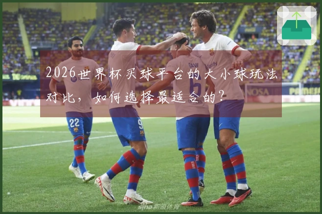 2026世界杯买球平台的大小球玩法对比，如何选择最适合的？