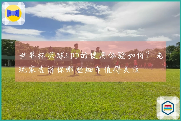 世界杯买球app的使用体验如何？老玩家告诉你哪些细节值得关注