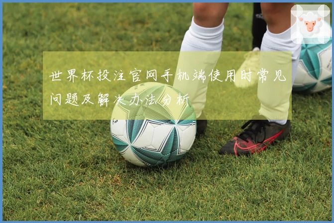 世界杯投注官网手机端使用时常见问题及解决办法分析