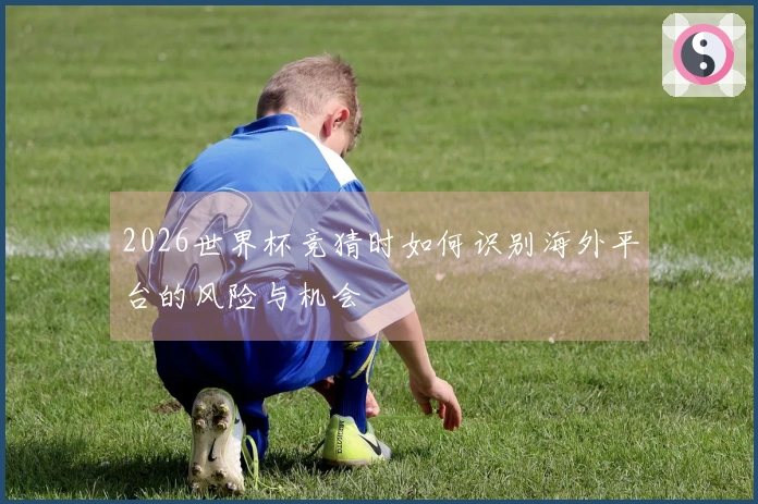 2026世界杯竞猜时如何识别海外平台的风险与机会