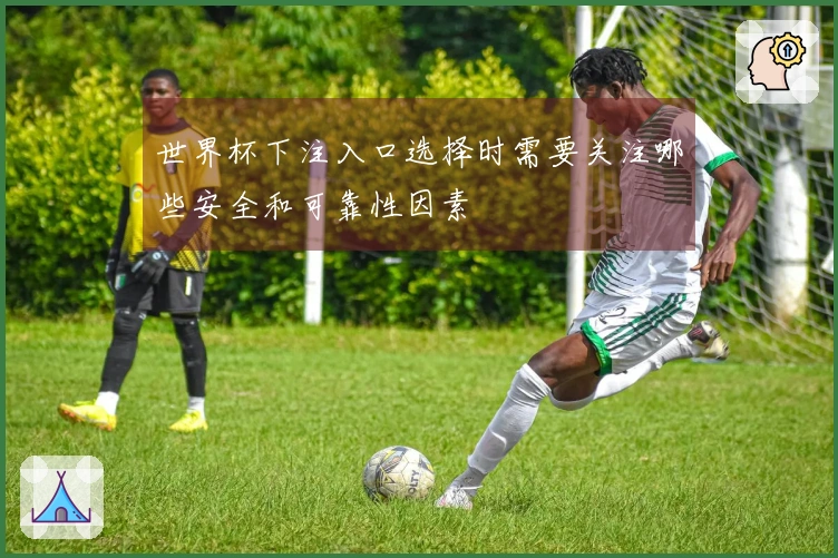 世界杯下注入口选择时需要关注哪些安全和可靠性因素