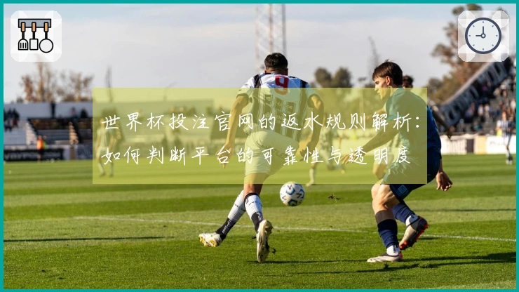 世界杯投注官网的返水规则解析：如何判断平台的可靠性与透明度