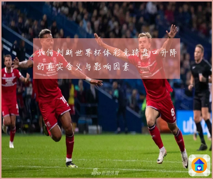如何判断世界杯体彩竞猜盘口升降的真实含义与影响因素