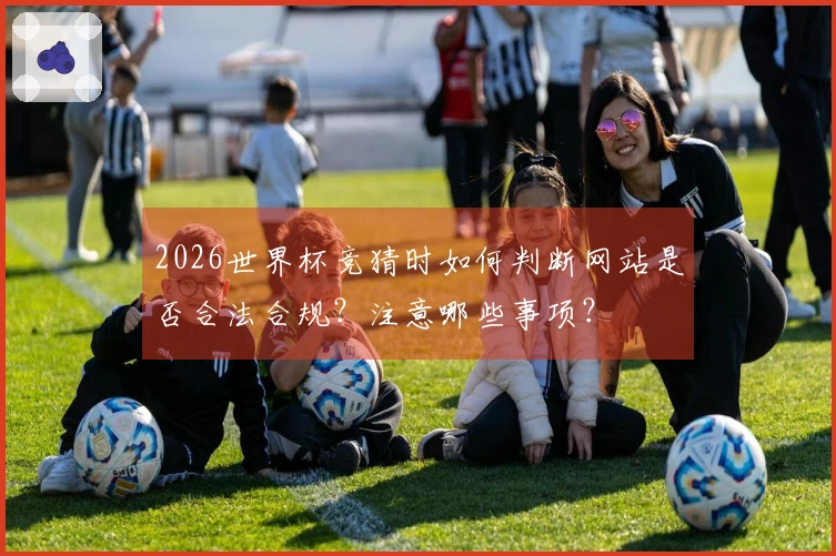 2026世界杯竞猜时如何判断网站是否合法合规？注意哪些事项？