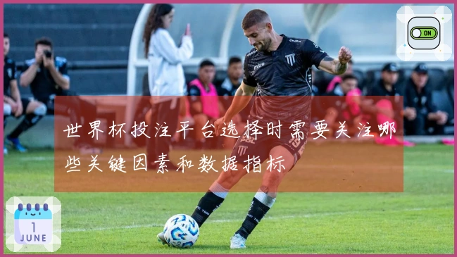 世界杯投注平台选择时需要关注哪些关键因素和数据指标