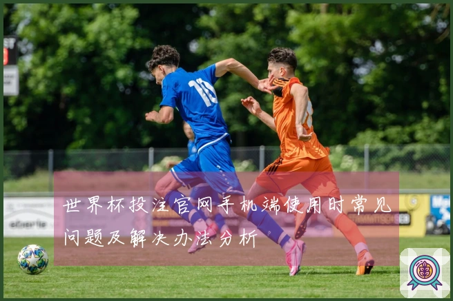 世界杯投注官网手机端使用时常见问题及解决办法分析