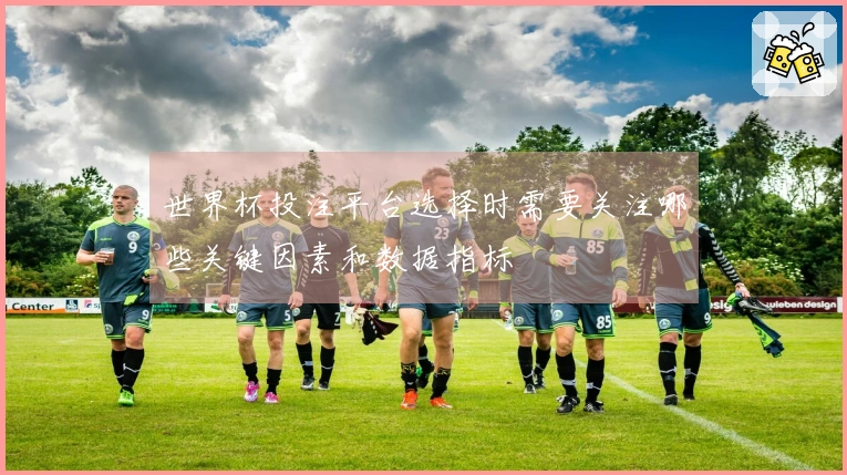 世界杯投注平台选择时需要关注哪些关键因素和数据指标