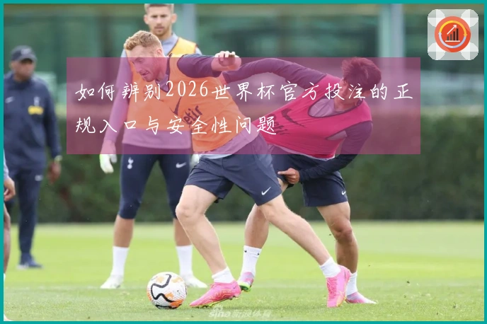 如何辨别2026世界杯官方投注的正规入口与安全性问题