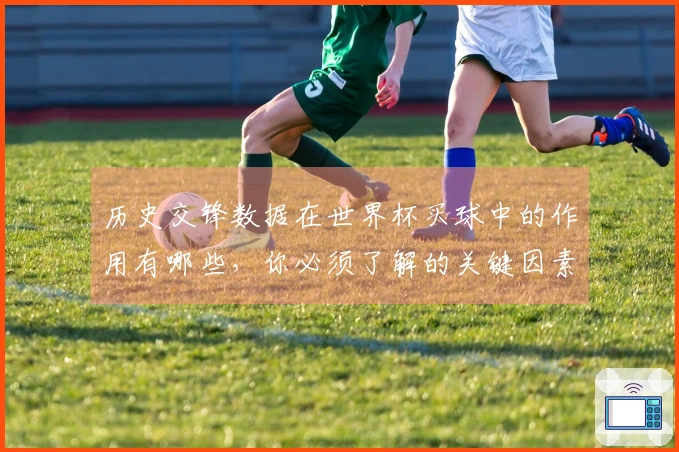 历史交锋数据在世界杯买球中的作用有哪些，你必须了解的关键因素