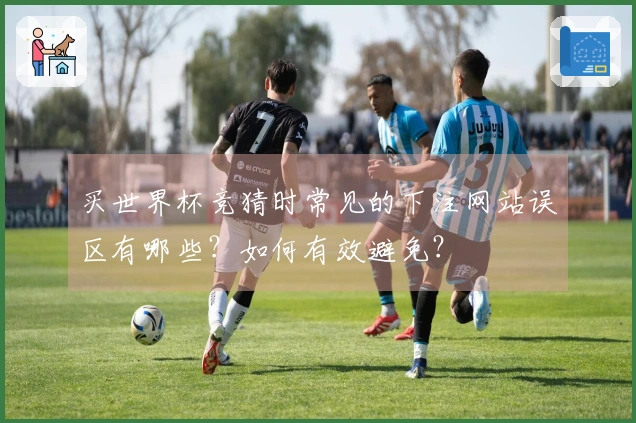 买世界杯竞猜时常见的下注网站误区有哪些？如何有效避免？
