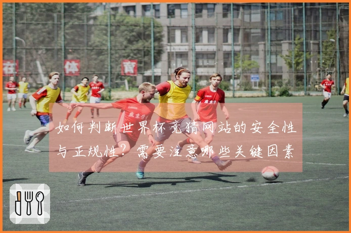 如何判断世界杯竞猜网站的安全性与正规性？需要注意哪些关键因素？