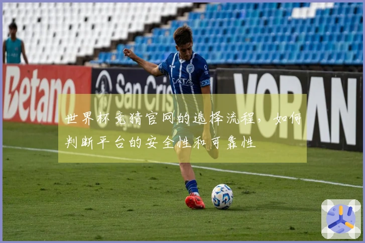 世界杯竞猜官网的选择流程，如何判断平台的安全性和可靠性