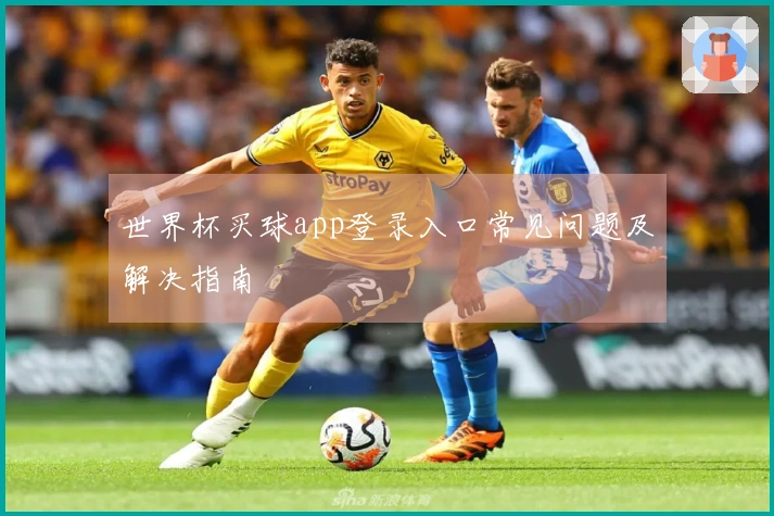 世界杯买球app登录入口常见问题及解决指南