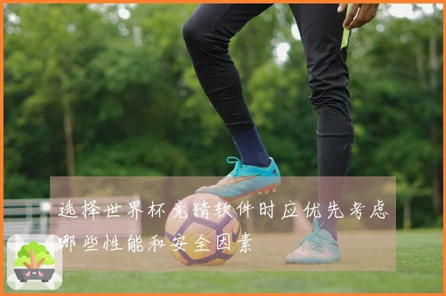 选择世界杯竞猜软件时应优先考虑哪些性能和安全因素