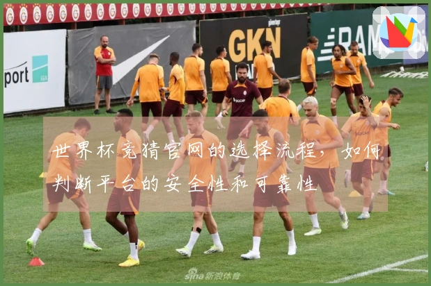世界杯竞猜官网的选择流程，如何判断平台的安全性和可靠性