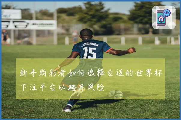 新手购彩者如何选择合适的世界杯下注平台以避开风险