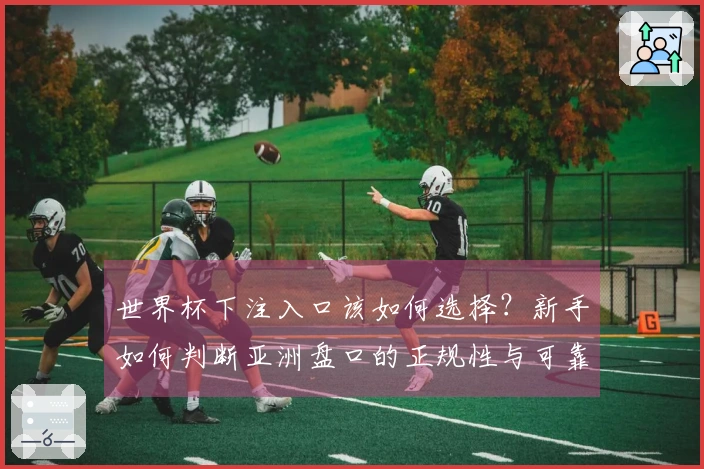 世界杯下注入口该如何选择？新手如何判断亚洲盘口的正规性与可靠性