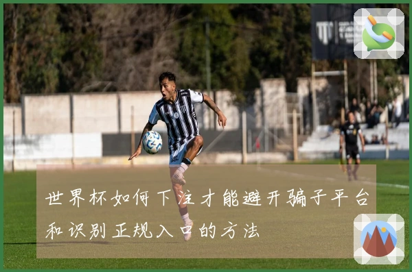 世界杯如何下注才能避开骗子平台和识别正规入口的方法