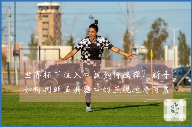 世界杯下注入口该如何选择？新手如何判断亚洲盘口的正规性与可靠性